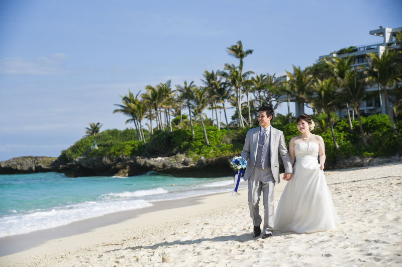 南国ムード溢れるやしの木