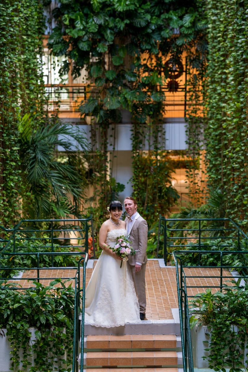 ポトスとモンステラ