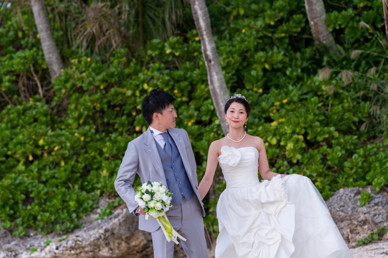 緑豊かなビーチ