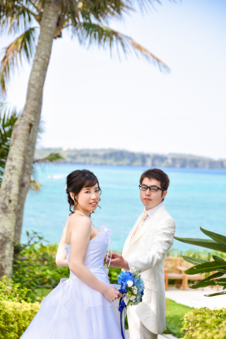 ムーンビーチのヤシの木と共に