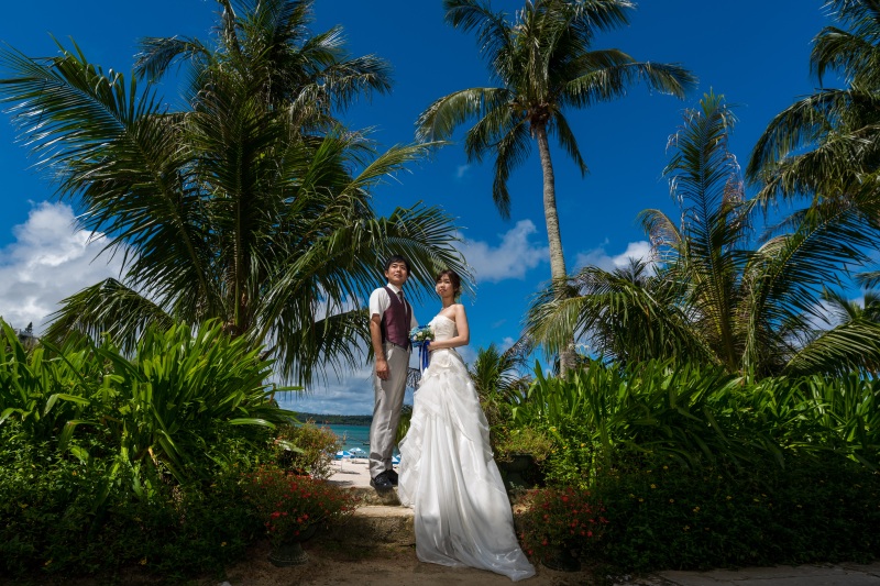 ヤシの木に囲まれて