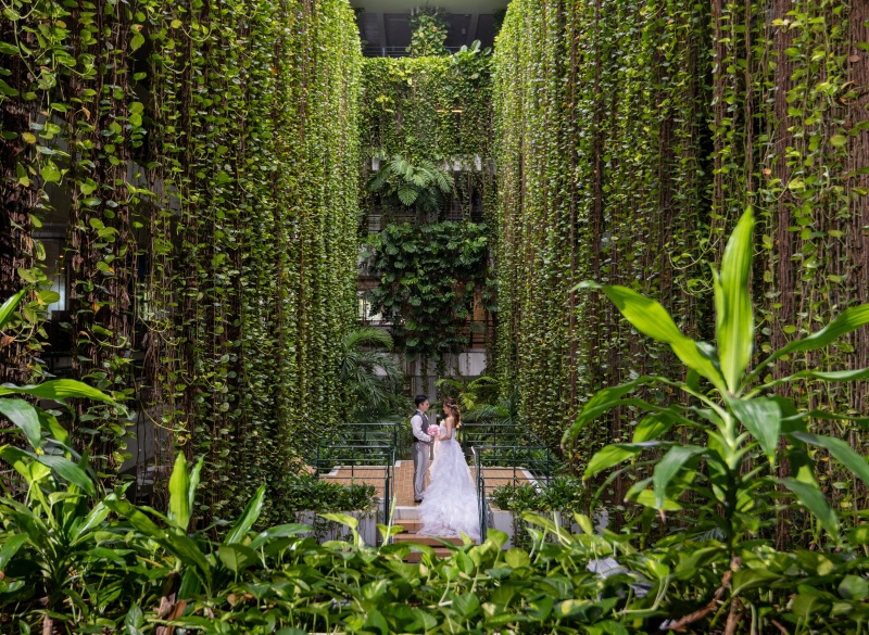 フォトジェニック