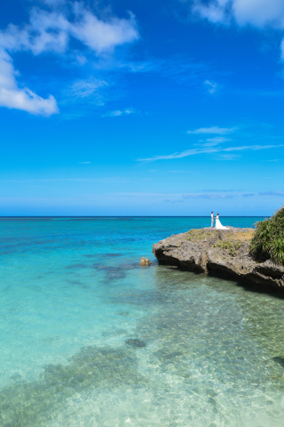 美しいロケーションにたたずんで