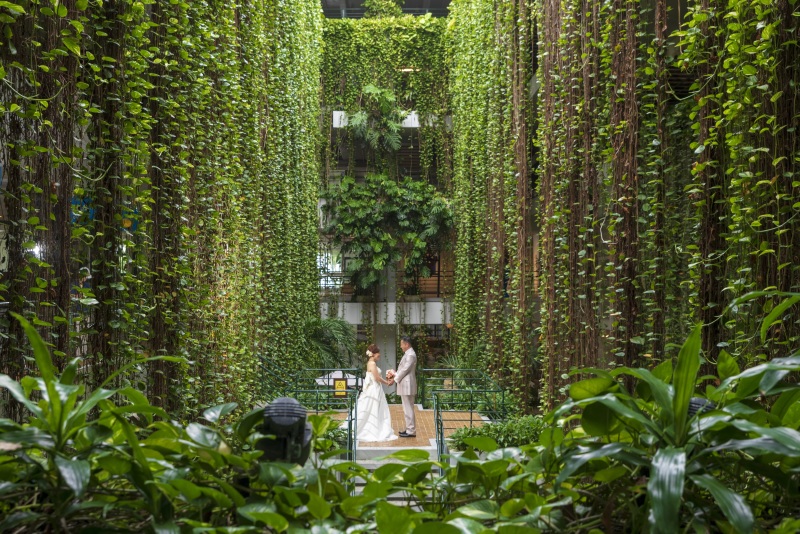 引きのショットで