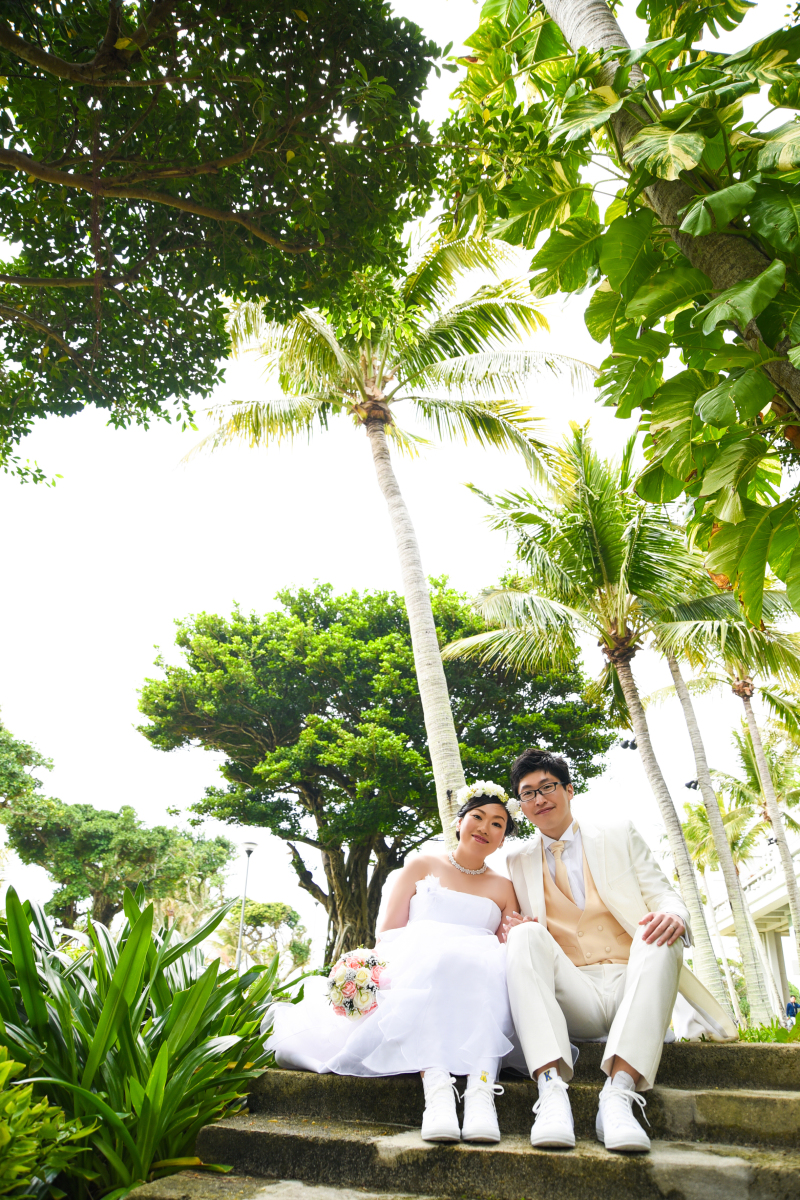 緑と白のコントラスト