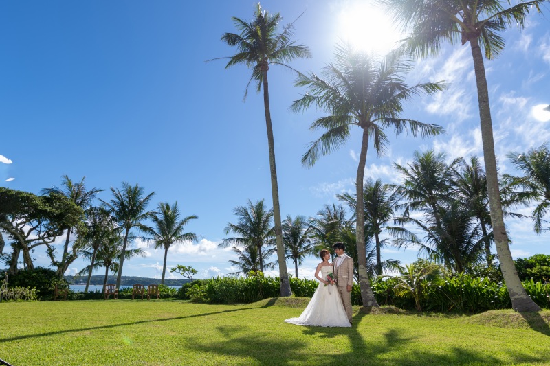 美しい木漏れ日