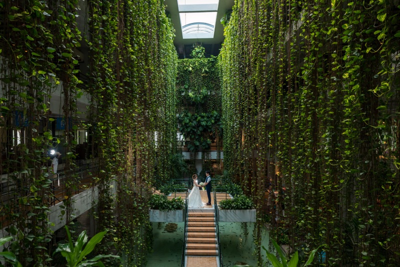 フォトジェニックな一枚