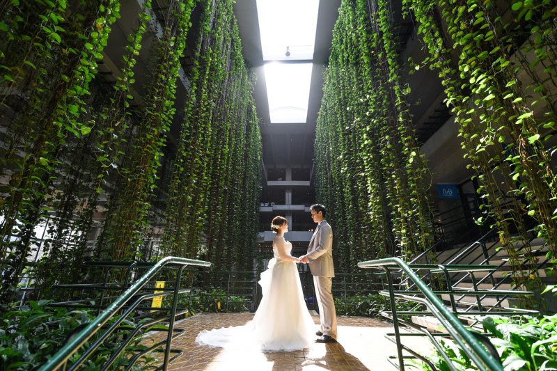 美しい写真を永遠に 楽しいフォトウエディング