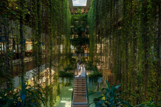 【広報撮影レポート】バリエーション豊富なムーンビーチ