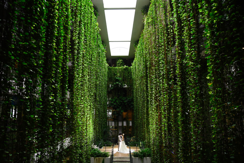 緑の滝の中 優しく包まれて