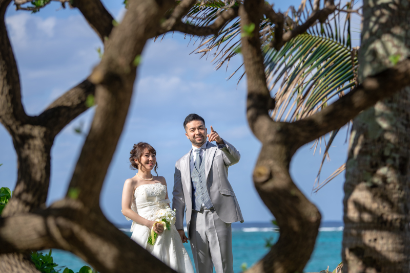 木のあいだから