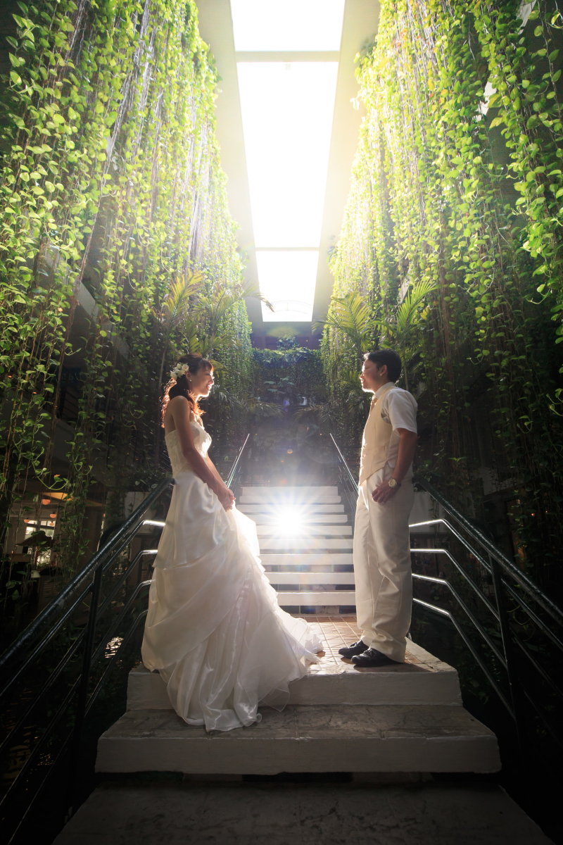 降り注ぐ光の中で