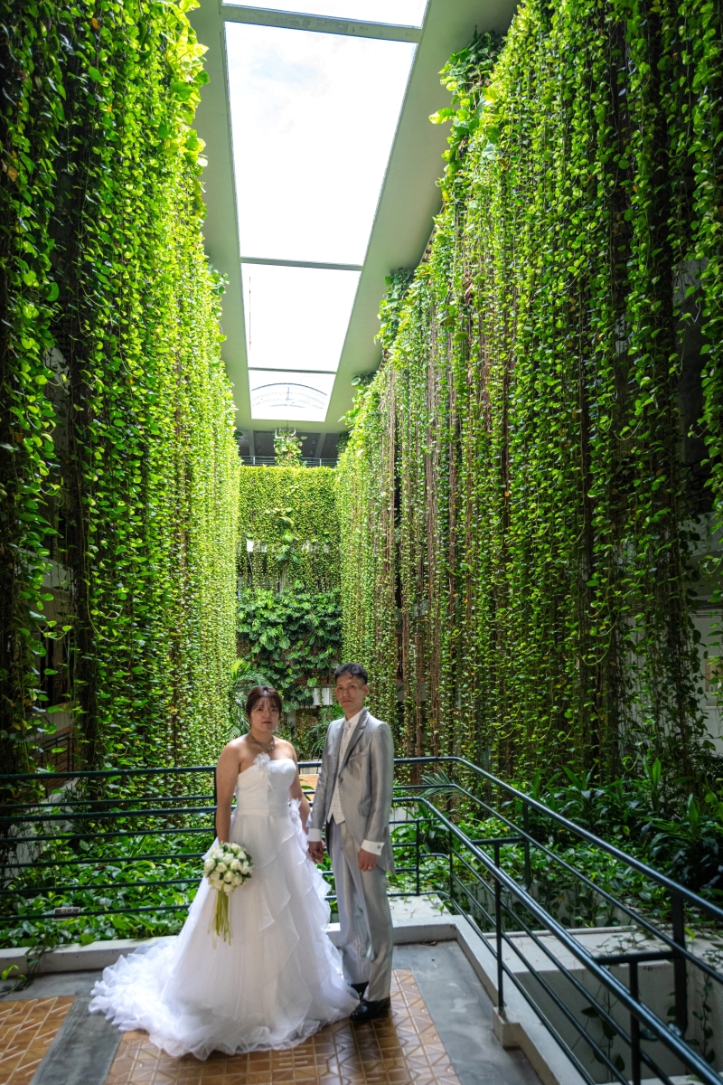 グリーンのシャワー