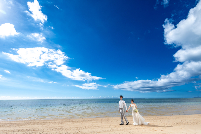 いろいろな写真を撮っているワンッ