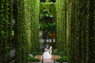 おふたりの一生の思い出に