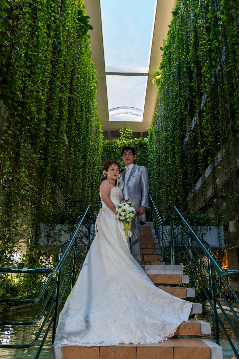 ポトスに包まれて