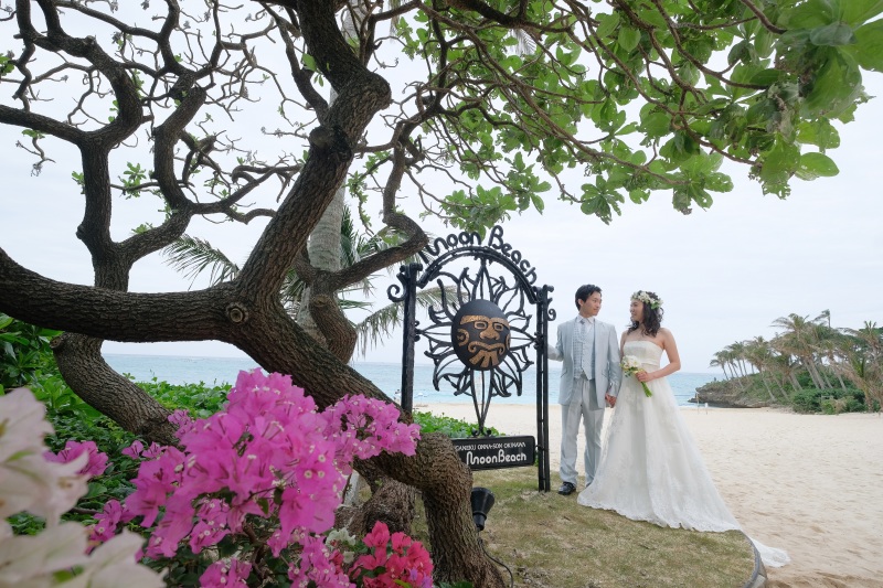 鮮やかなブーゲンビリア