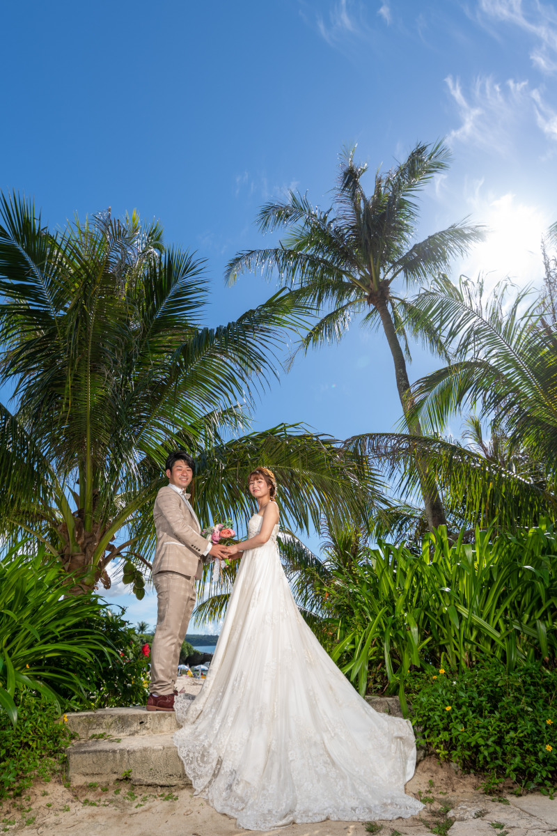 美しいヤシの木陰