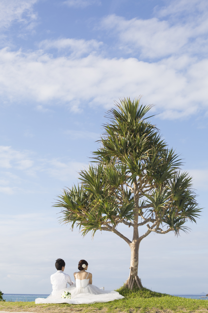 絵葉書のようなスポット