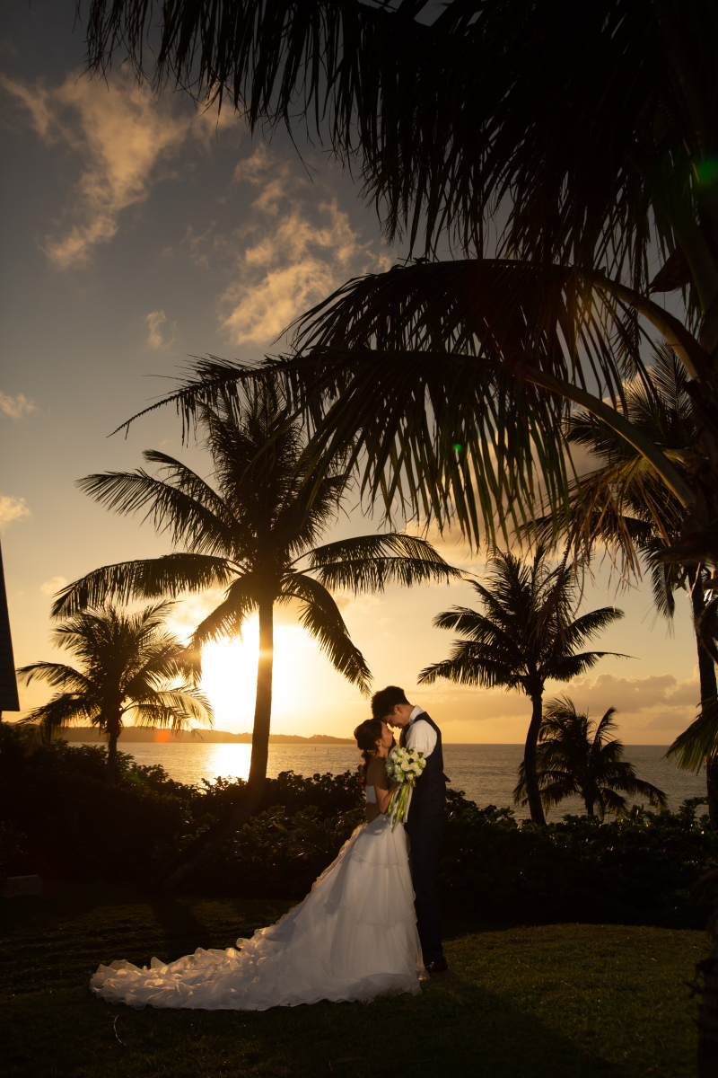 ヤシの木とサンセット