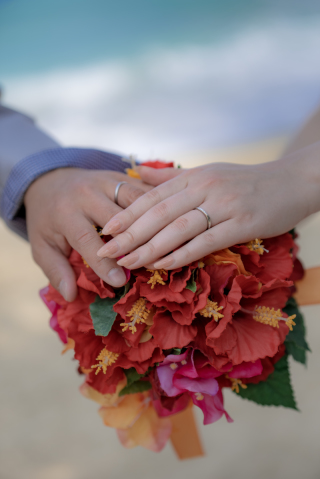 鮮やかなハイビスカスと共に