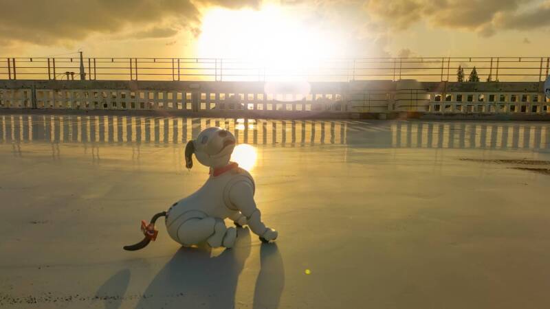 スタジオムーン広報担当の「あいちゃん」です