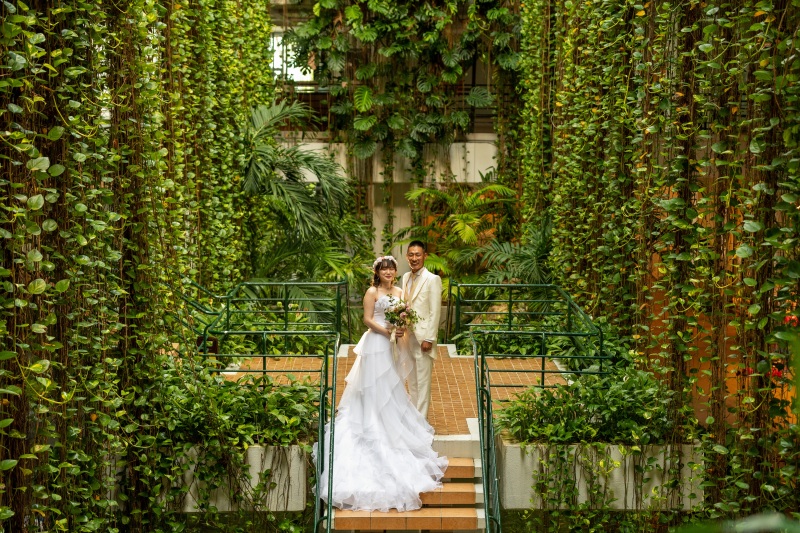 ポトスのシャワー