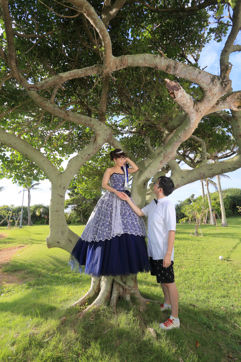 木に登ったお姫さま