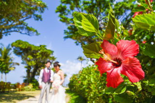 南の島で大ジャンプ！