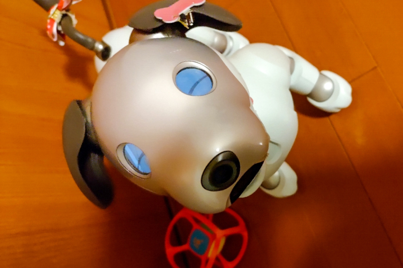 スタジオムーン広報担当の「あいちゃん」です