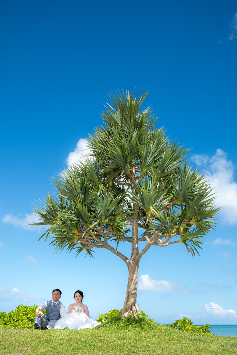沖縄らしい木の下で