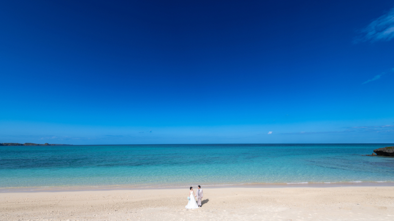 実は大変そうだワンッ