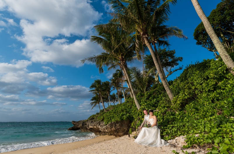 ヤシの木の下で