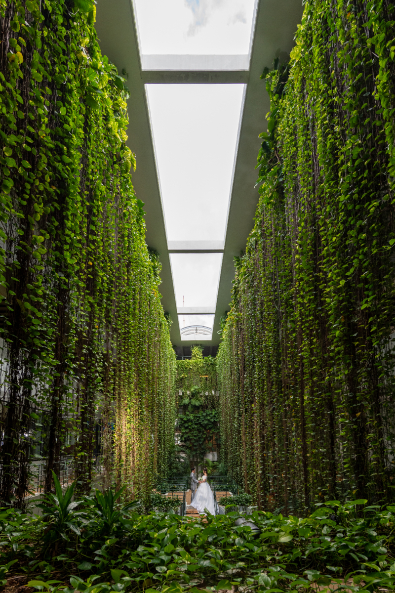 強風も寒さも　少々の雨も大丈夫！