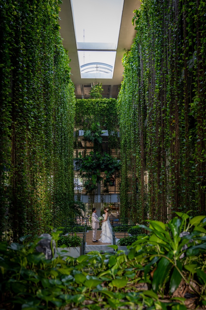 流れるような緑