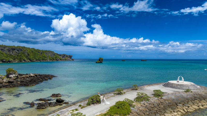 暑さは人間だけではないワンッ