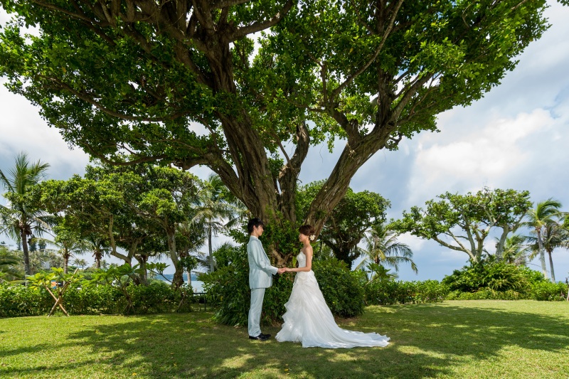 ガジュマルの木陰