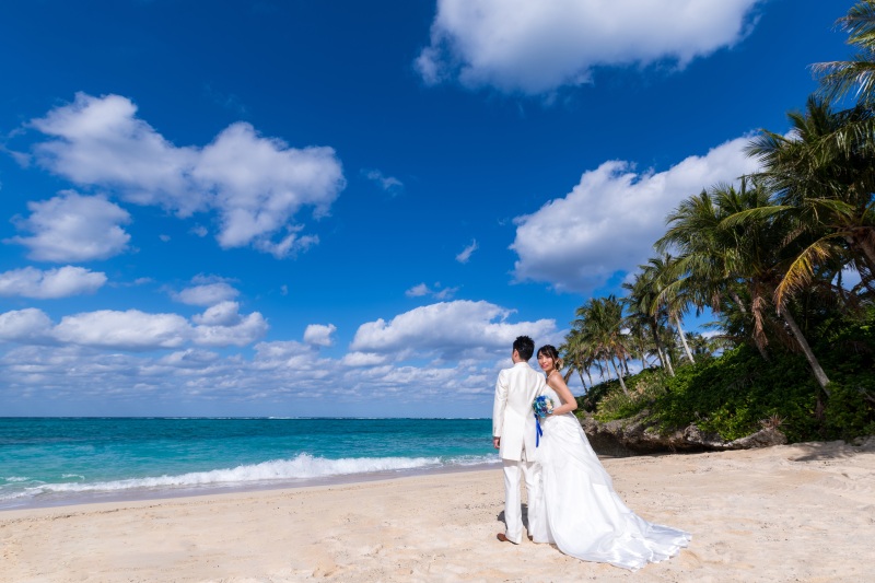 海と空とヤシの木と
