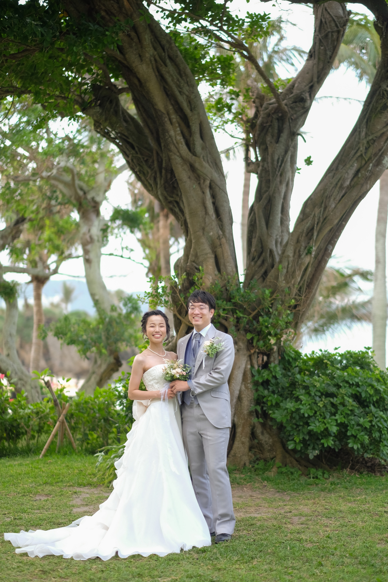 ガジュマルの木