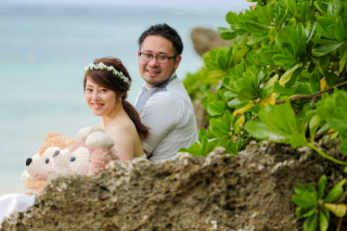 ベアたちに見守られて