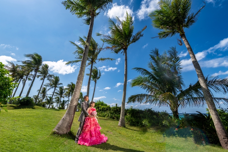 ヤシの木のガーデン