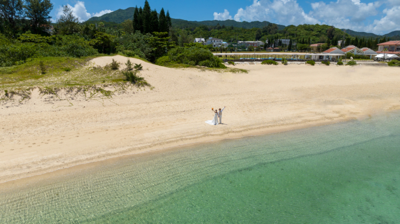 雨や風の判断もシビアだワンッ