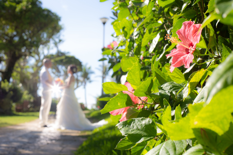 鮮やかなガーデン