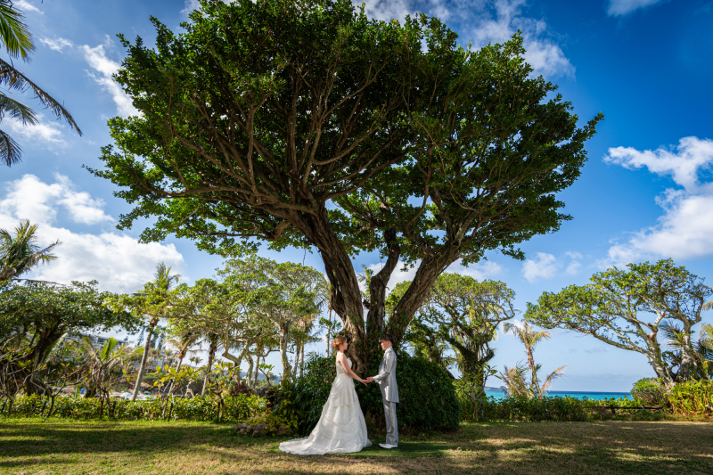 ガーデンフォト