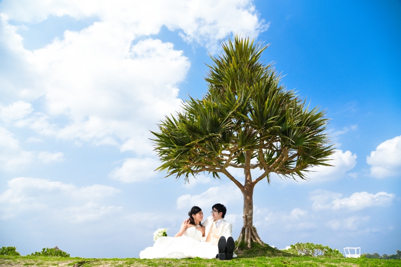 ビーチの木陰でのんびりと