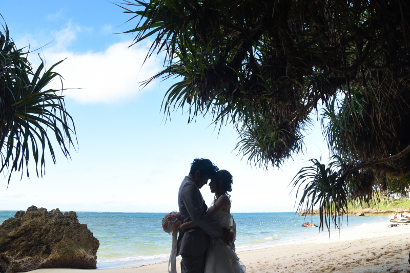 木々のフレームに囲まれて