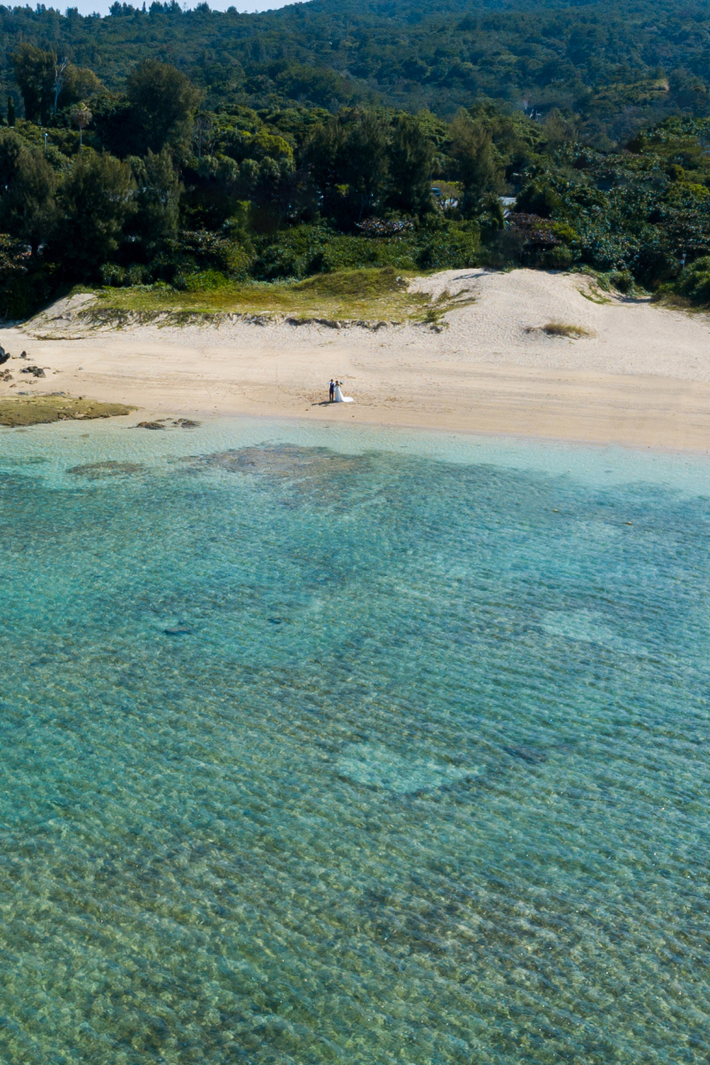 カメラマンさんは、ドローン飛行の有資格者だワンッ
