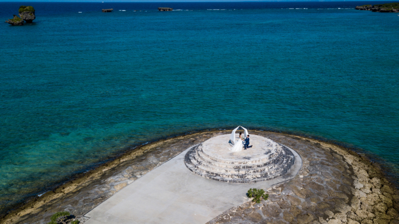最後は愛情だと思うワンッ