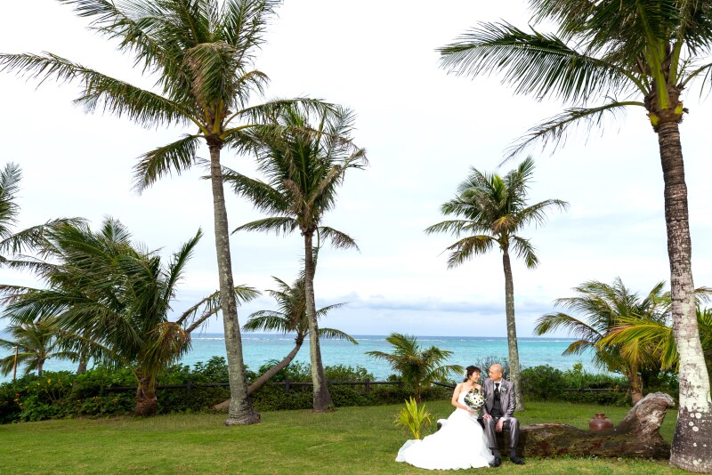 風に揺れるヤシの木