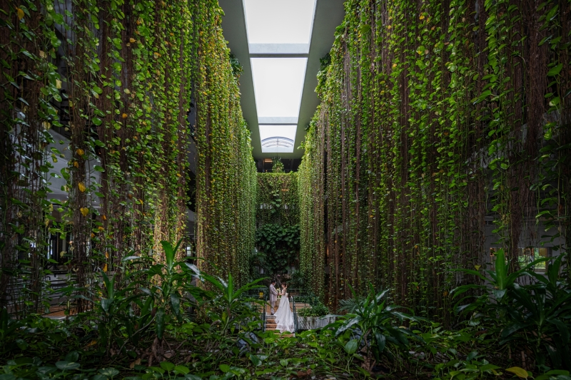 まるで植物園のような緑